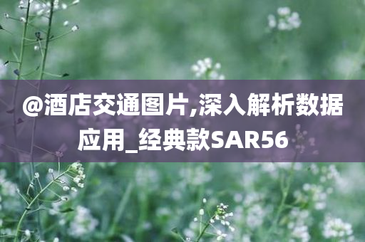 @酒店交通图片,深入解析数据应用_经典款SAR56
