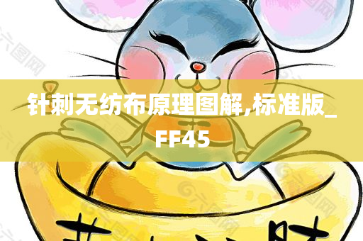 针刺无纺布原理图解,标准版_FF45