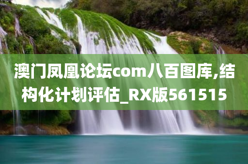 澳门凤凰论坛com八百图库,结构化计划评估_RX版561515