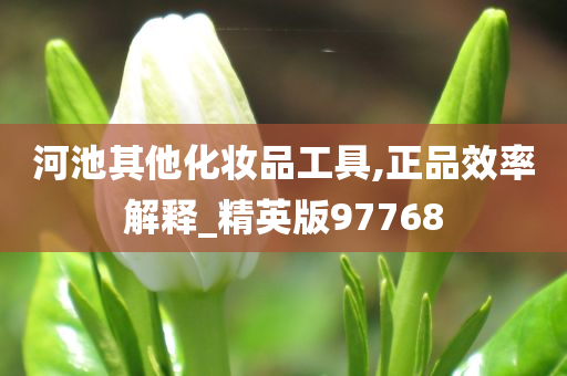 河池其他化妆品工具,正品效率解释_精英版97768