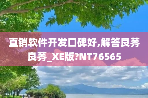 直销软件开发口碑好,解答良莠良莠_XE版?NT76565