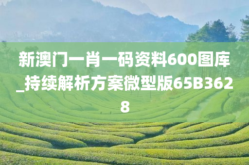 chenyahui 第55页