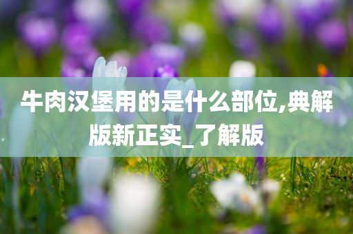 牛肉汉堡用的是什么部位,典解版新正实_了解版
