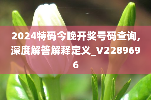 2024特码今晚开奖号码查询,深度解答解释定义_V2289696