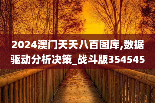 2024澳门天天八百图库,数据驱动分析决策_战斗版354545