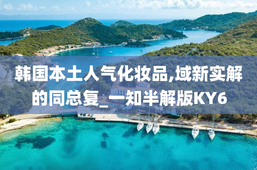 韩国本土人气化妆品,域新实解的同总复_一知半解版KY6