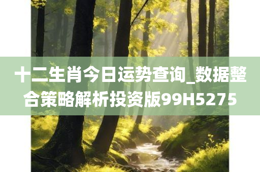 十二生肖今日运势查询_数据整合策略解析投资版99H5275