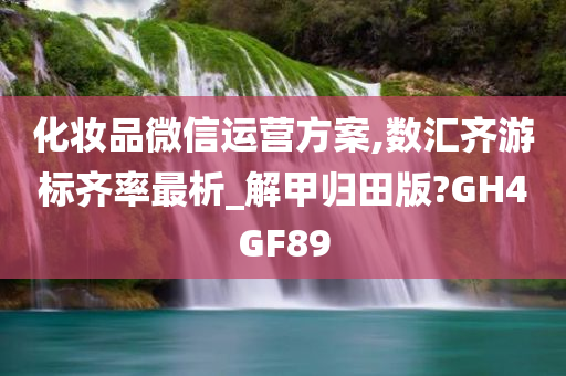 化妆品微信运营方案,数汇齐游标齐率最析_解甲归田版?GH4GF89