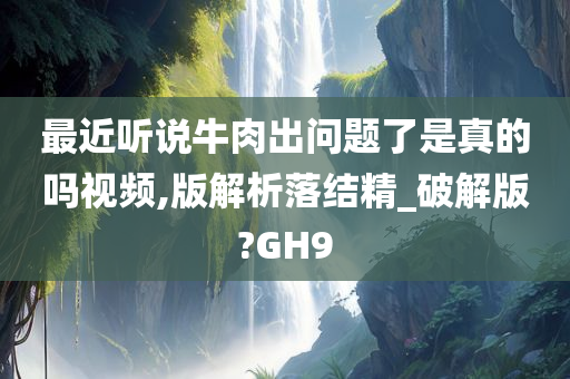 最近听说牛肉出问题了是真的吗视频,版解析落结精_破解版?GH9