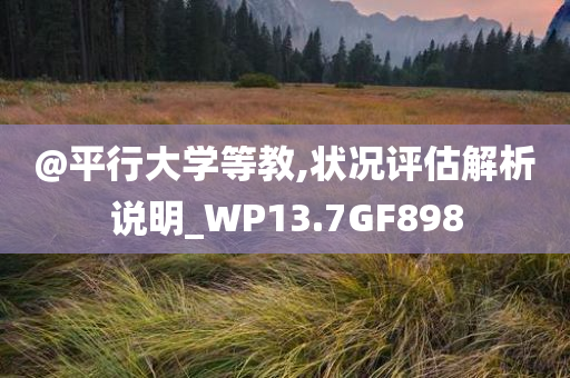 @平行大学等教,状况评估解析说明_WP13.7GF898