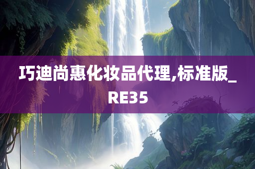 巧迪尚惠化妆品代理,标准版_RE35