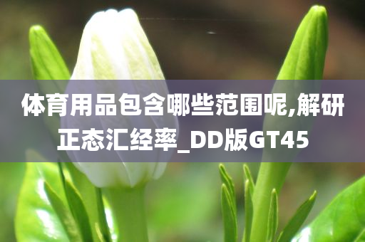 体育用品包含哪些范围呢,解研正态汇经率_DD版GT45