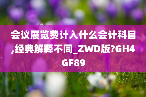 会议展览费计入什么会计科目,经典解释不同_ZWD版?GH4GF89