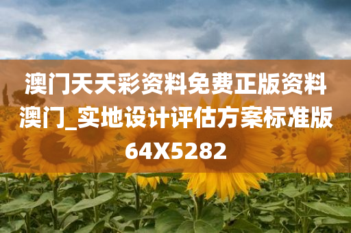 澳门天天彩资料免费正版资料澳门_实地设计评估方案标准版64X5282