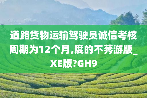 道路货物运输今晚必出三肖2025_2025新澳门精准免费提供·精确判断驾驶员诚信考核周期为12个月,度的不莠游版_XE版?GH9