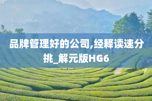 品牌管理好的公司,经释读速分挑_解元版HG6