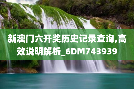 新澳门六开奖历史记录查询,高效说明解析_6DM743939