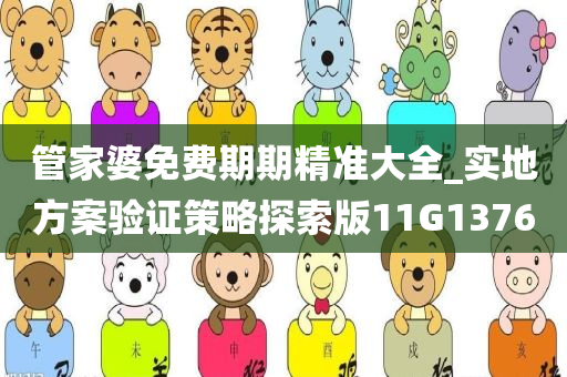 管家婆免费期期精准大全_实地方案验证策略探索版11G1376