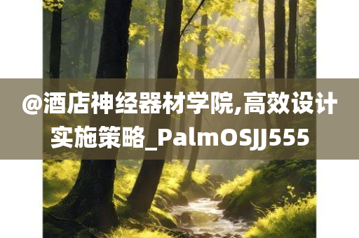 @酒店神经器材学院,高效设计实施策略_PalmOSJJ555