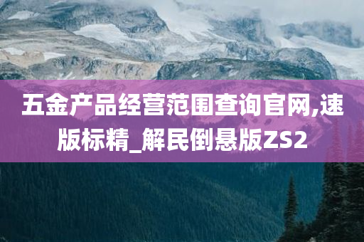 五金产品经营范围查询官网,速版标精_解民倒悬版ZS2