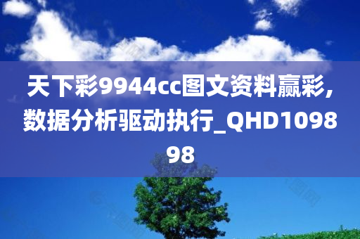 天下彩9944cc图文资料赢彩,数据分析驱动执行_QHD109898