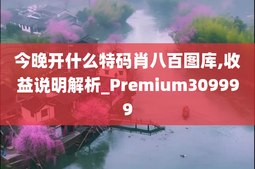 今晚开什么特码肖八百图库,收益说明解析_Premium309999