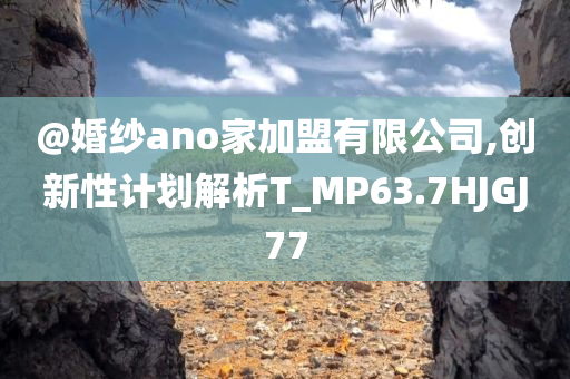 @婚纱ano家加盟有限公司,创新性计划解析T_MP63.7HJGJ77今晚必出三肖2025_2025新澳门精准免费提供·精确判断