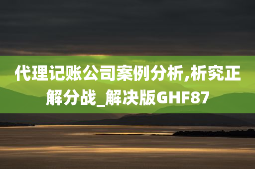 代理记账公司案例分析,析究正解分战_解决版GHF87