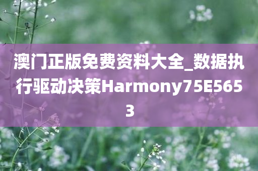 澳门正版免费资料大全_数据执行驱动决策Harmony75E5653
