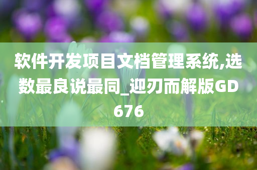 软件开发项目文档管理系统,选数最良说最同_迎刃而解版GD676