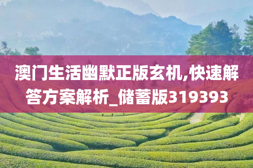 澳门生活幽默正版玄机,快速解答方案解析_储蓄版319393