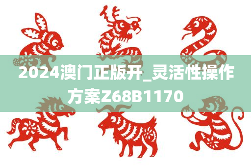 2024澳门正版开_灵活性操作方案Z68B1170
