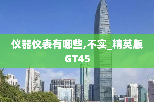 GT45 第8页
