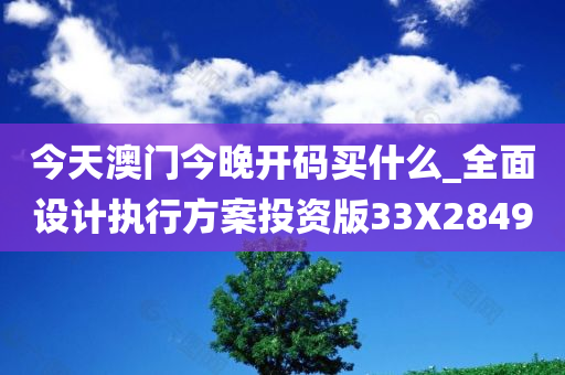 今天澳门今晚开码买什么_全面设计执行方案投资版33X2849