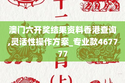 chenxinyao 第55页