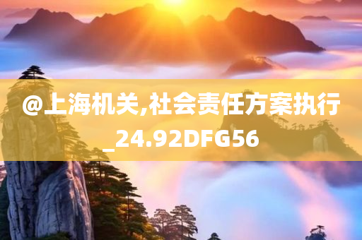@上海机关,社会责任方案执行_24.92DFG56