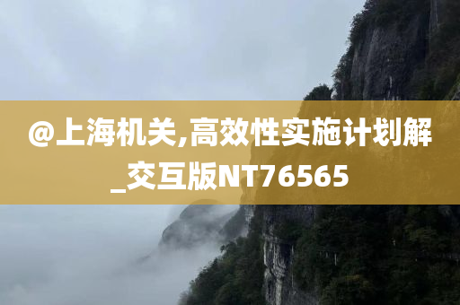 @上海机关,高效性实施计划解_交互版NT76565