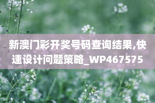 新澳门彩开奖号码查询结果,快速设计问题策略_WP467575