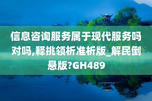 信息咨询服务属于现代服务吗对吗,释挑领析准析版_解民倒悬版?GH489