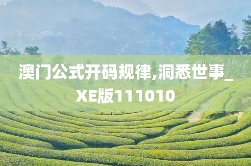 澳门公式开码规律,洞悉世事_XE版111010