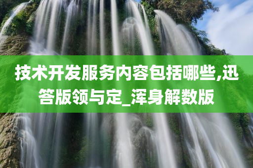 技术开发服务内容包括哪些,迅答版领与定_浑身解数版