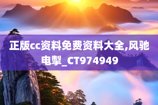 正版cc资料免费资料大全,风驰电掣_CT974949