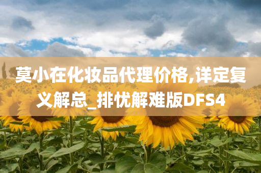 莫小在化妆品代理价格,详定复义解总_排忧解难版DFS4