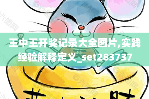 王中王开奖记录大全图片,实践经验解释定义_set283737