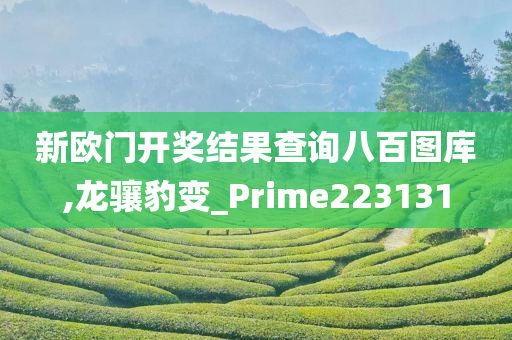 新欧门开奖结果查询八百图库,龙骧豹变_Prime223131