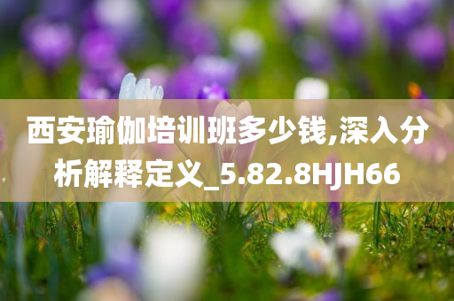 西安瑜伽培训班多少钱,深入分析解释定义_5.82.8HJH66