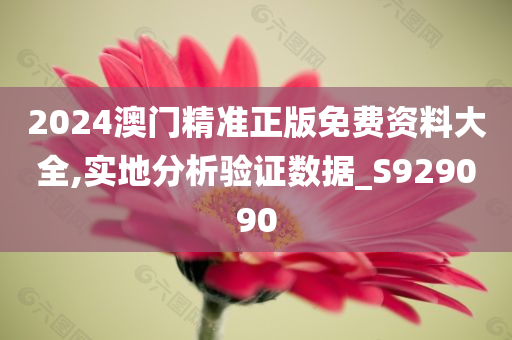 2024澳门精准正版免费资料大全,实地分析验证数据_S929090
