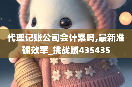 代理记账公司会计累吗,最新准确效率_挑战版435435