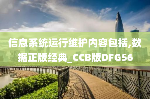 信息系统运行维护内容包括,数据正版经典_CCB版DFG56