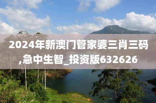 2024年新澳门管家婆三肖三码,急中生智_投资版632626